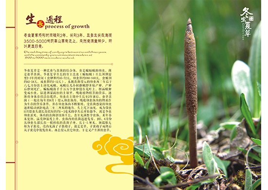 &#20061;&#28216;